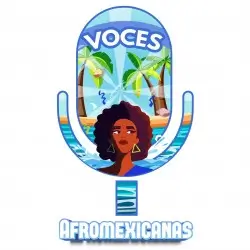 Voces Afromexicanas 107.3 FM logo